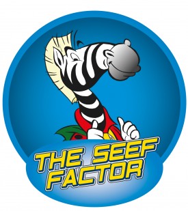 Logo "The SEEF factor"